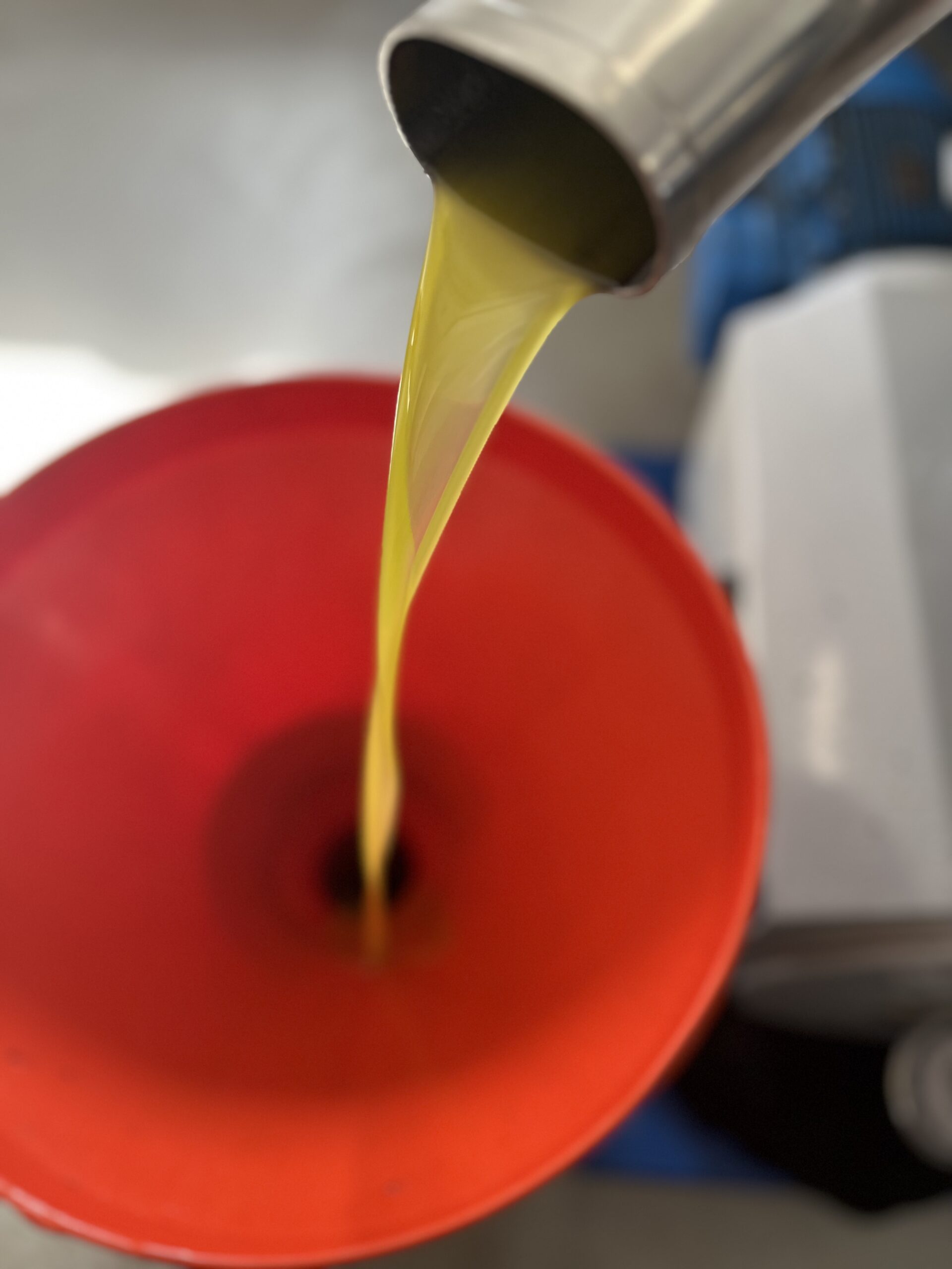 Mlado maslinovo ulje_Uljara Blato 1902