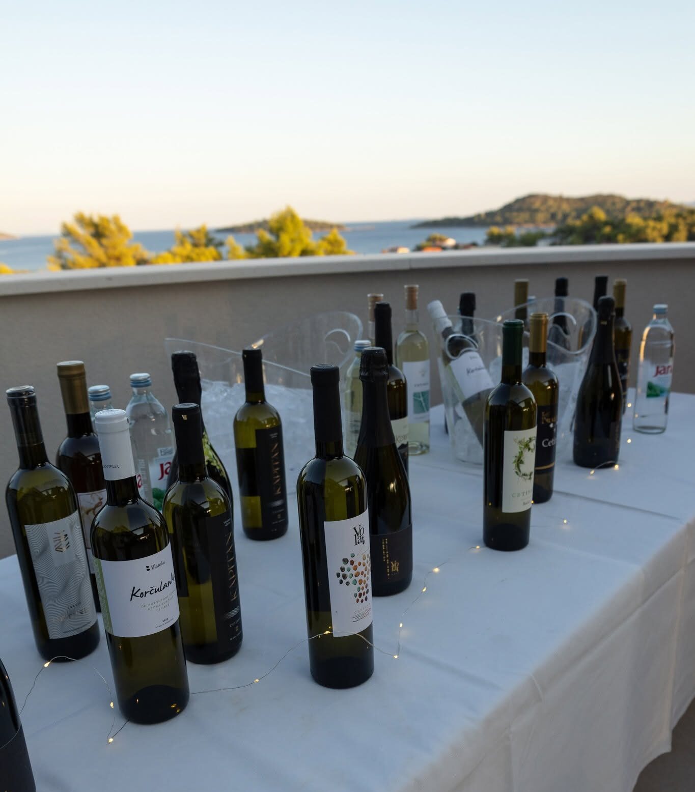 vinska-konferencija-blato-wine-experience-aminess-alfir-hotel-prižba-cetinka